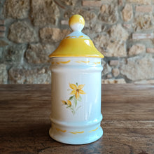 Carica l'immagine nel visualizzatore di Gallery, Vaso barattolo in terracotta dipinta a mano con tappo - decorazione Iperico
