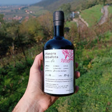 Carica l'immagine nel visualizzatore di Gallery, Pianora Erbalista ricetta XII Vermouth rosso - Pianora