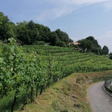 Carica l'immagine nel visualizzatore di Gallery, Aperitivo Pianora Erbalista - Cantina Pianora