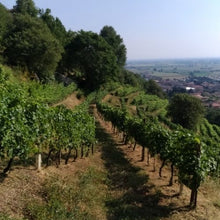 Carica l'immagine nel visualizzatore di Gallery, Pianora ricetta XII Vermouth rosso - Pianora