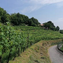 Carica l'immagine nel visualizzatore di Gallery, Flamingo vino rosato biologico 2022 - Pianora