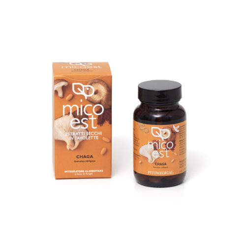 Fungo Chaga alta concentrazione in compresse Fitomedical