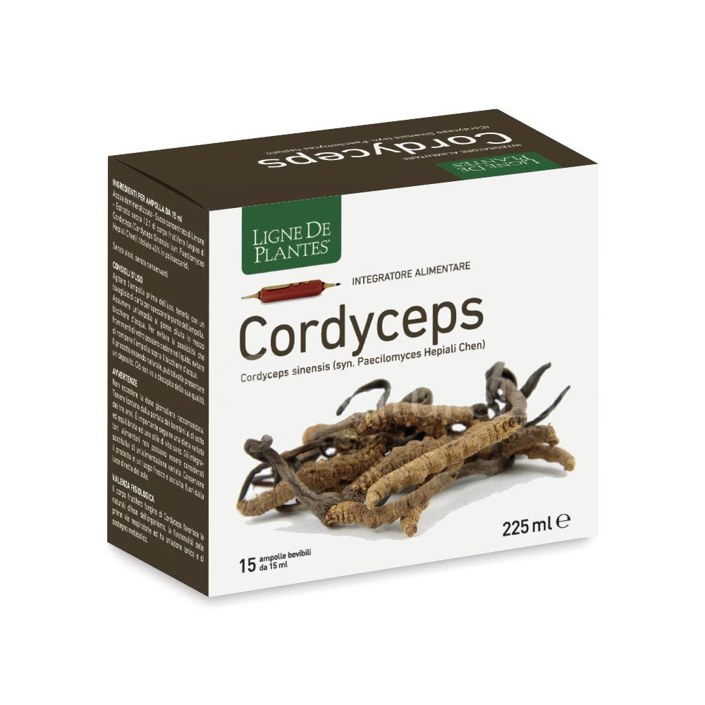 Cordyceps in ampolle - Ligne De Plantes