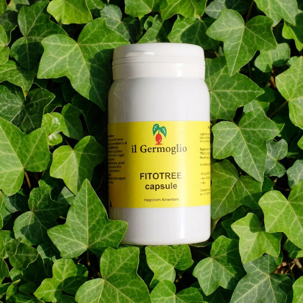 Fitotree capsule con Timo, Tea tree e semi di pompelmo – Erboristeria ...