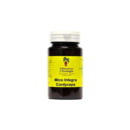 Fungo Cordyceps Mico Integra - Erboristeria il Germoglio