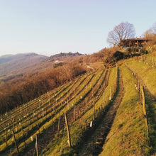 Carica l&#39;immagine nel visualizzatore di Gallery, Box degustazione vini del Monteofano / Franciacorta - bio e naturale Pianora

