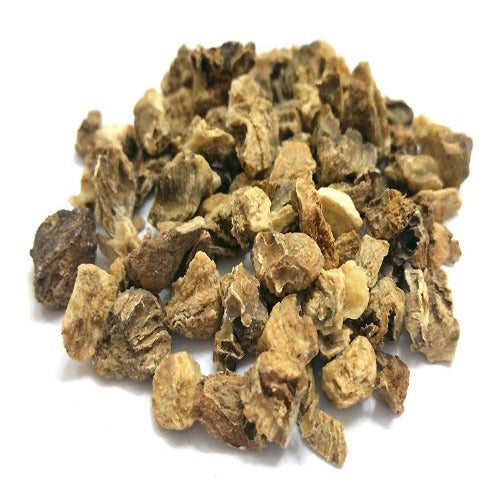 Angelica radice taglio tisana 100 g
