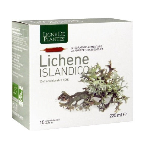 Lichene Islandico BIO 15 ampolle - Ligne De Plantes