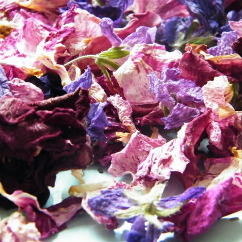 Papavero fiori rossi taglio tisana