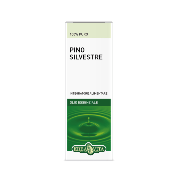 Pino silvestre olio essenziale